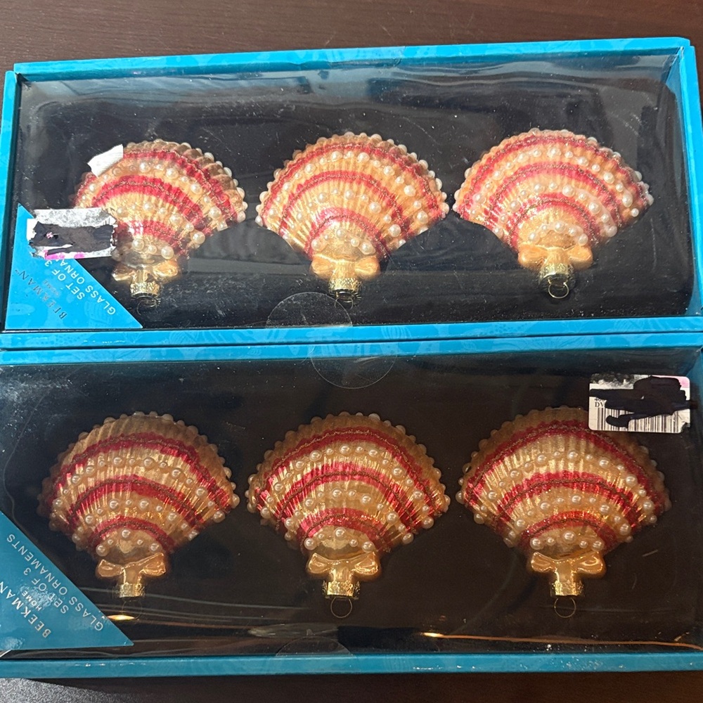 Set of Glass Seashell Beekman Ornaments